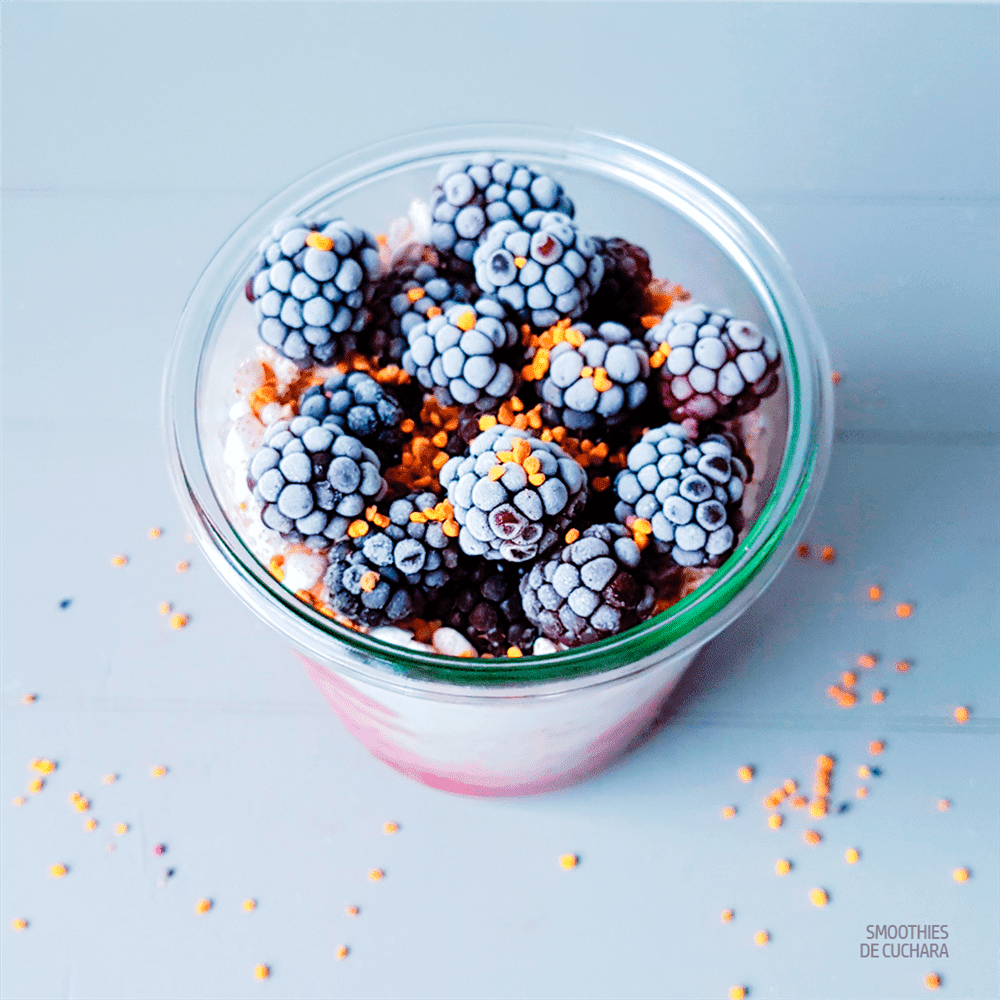 Yogur de leche de coco
